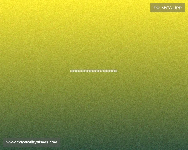 汇丰冠军锦标赛年度巅峰对决全球高尔夫精英汇聚申城激情角逐荣耀